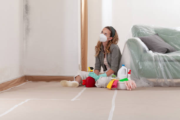 Reliable Mold Remediation contractor in Lexington, MN by WQB Mold Removal